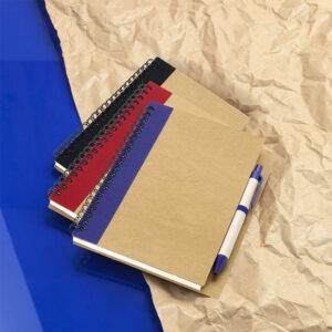 Priestly Notebook and BP