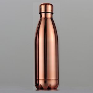Mirror Finish Vacuum Bottle