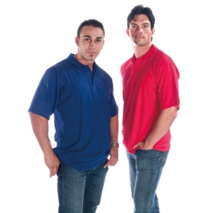 Division Polo