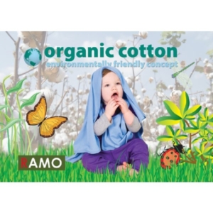 Organic Cotton Blanket