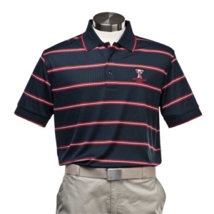 Men's Webb Stripe Polo