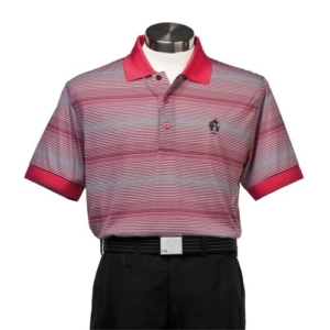 Men's Aden Stripe Polo