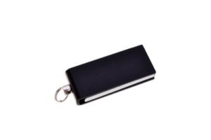 Mini Boston Flash Drive