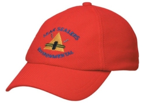 PQ Mesh Plain Sandwich Design