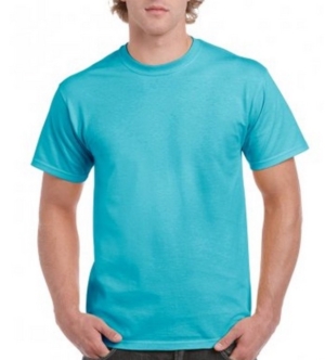 Softstyle Adult T-Shirt