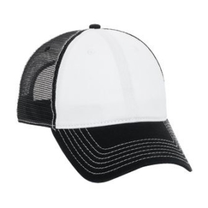 Six Panel Low Profile Mesh Back Cap